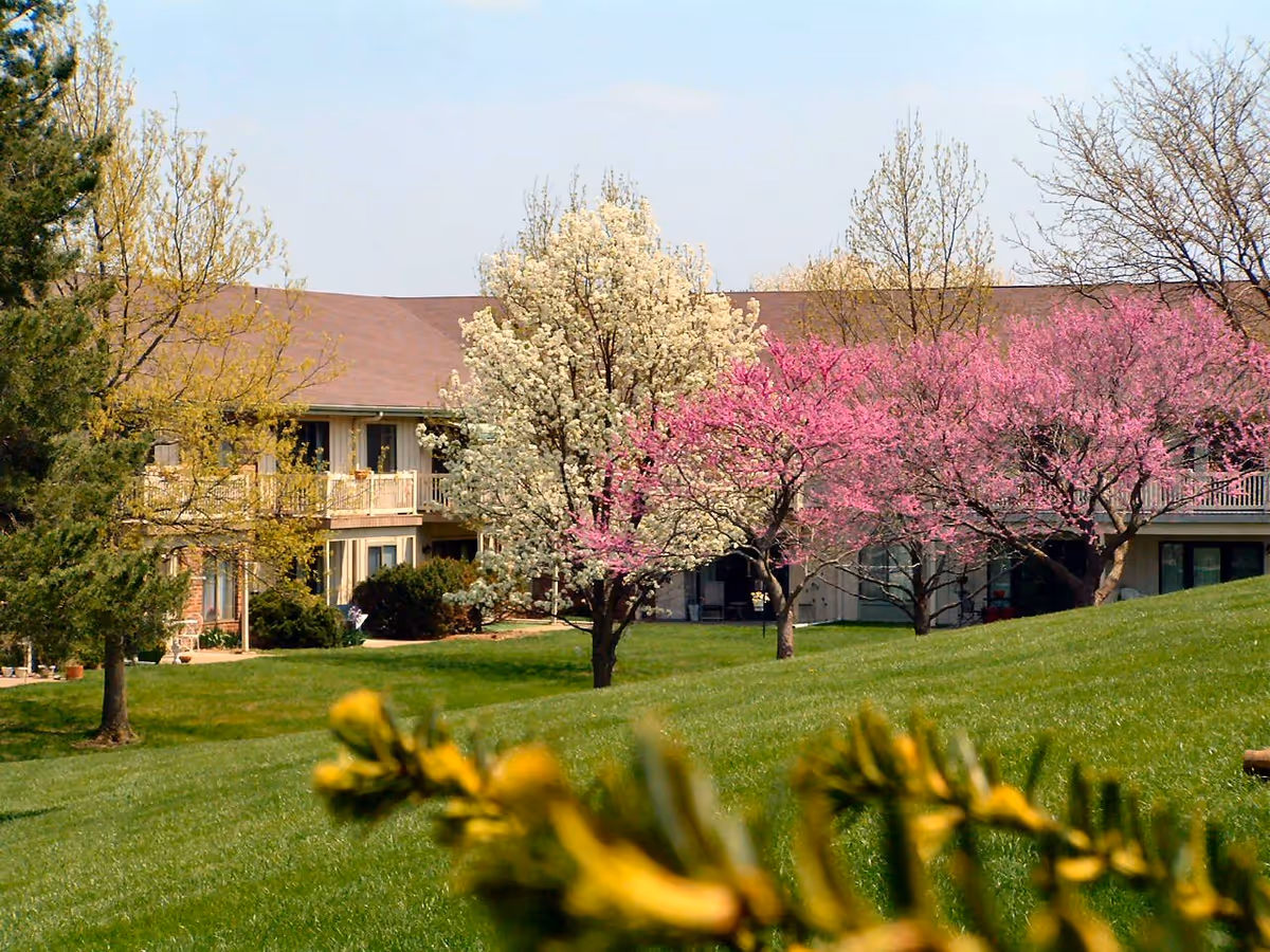 A grassy outdoor area with blooming trees featuring white and pink flowers in front of a two-story residential building with balconies.