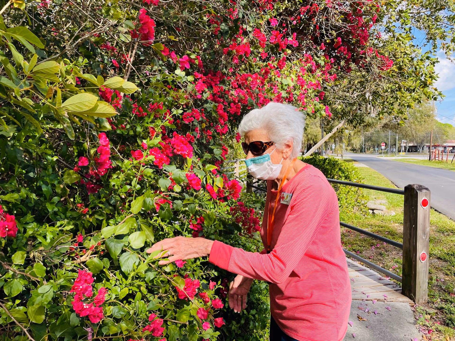 An elderly woman wearing sunglasses and a face mask is standing outdoors next to a bush with vibrant pink flowers. She is dressed in a red and white striped long-sleeve shirt and appears to be gently touching or examining the flowers. The scene includes a paved road, greenery, and a clear sky in the background.