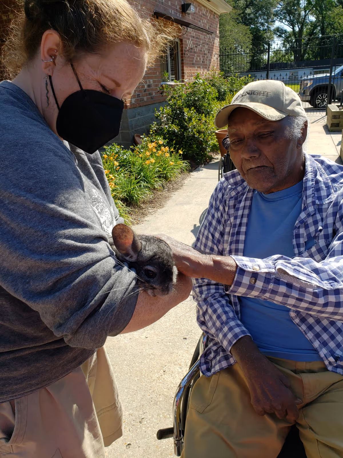 A woman wearing a black face mask and gray shirt holds a small gray chinchilla while an elderly man in a wheelchair, wearing a beige cap, blue shirt, and checkered jacket, gently pets the animal outside near a brick building and garden.