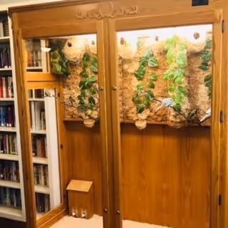 A wooden enclosure with glass doors housing a terrarium setup. Inside, there are climbing plants and branches attached to a textured background, designed for small animals or reptiles. To the left of the enclosure, there is a bookshelf filled with books.