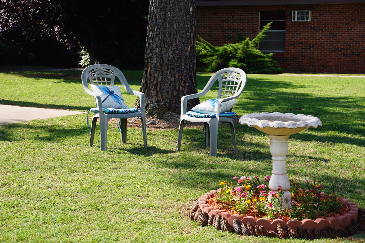 Two plastic lawn chairs with cushions sit on grass beside a tree near a decorative birdbath surrounded by flowers.