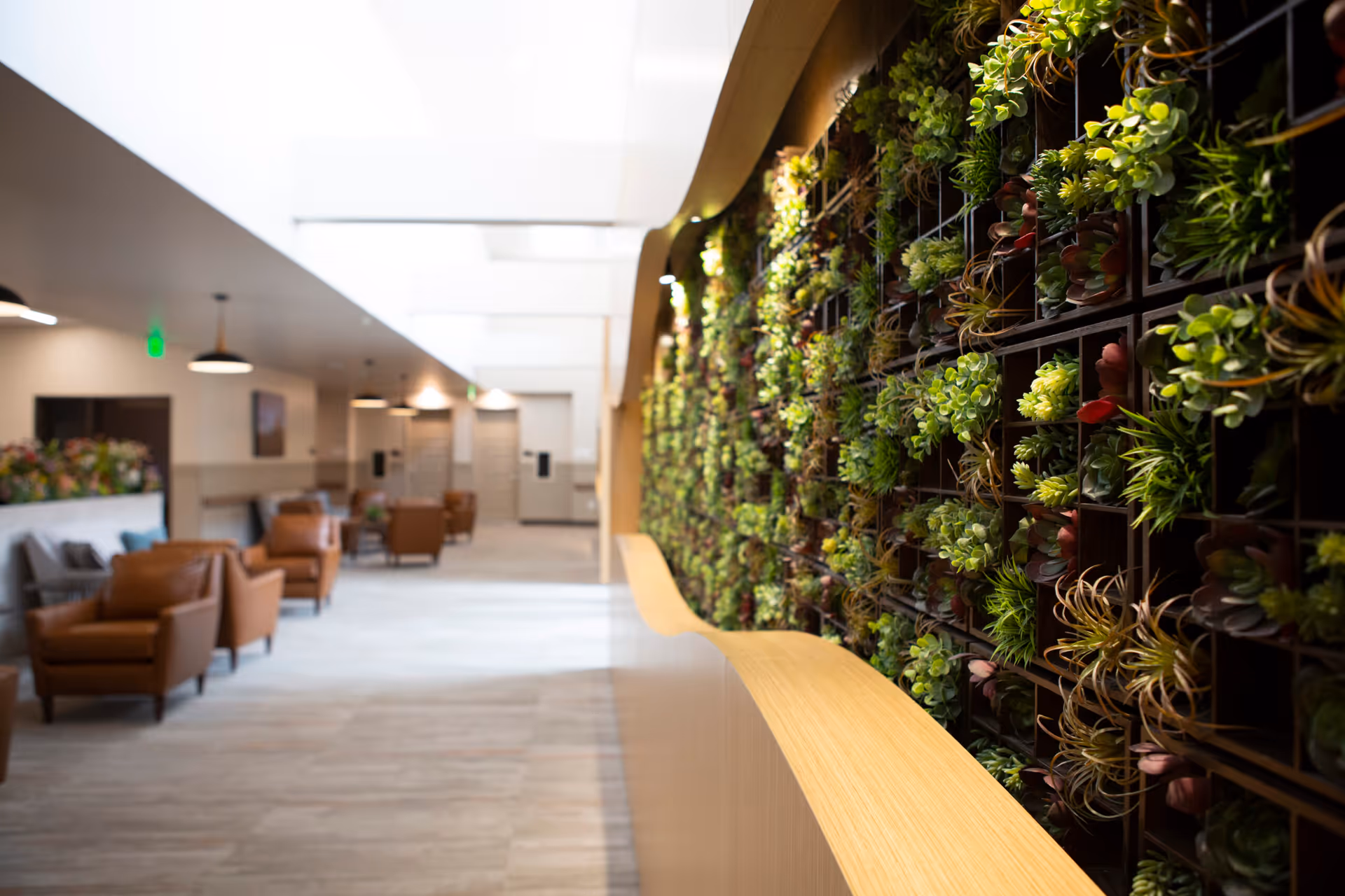 Interior view of a modern senior living facility hallway with a vertical garden wall filled with various green plants on the right side and a seating area with brown leather chairs and small tables on the left side under hanging pendant lights.