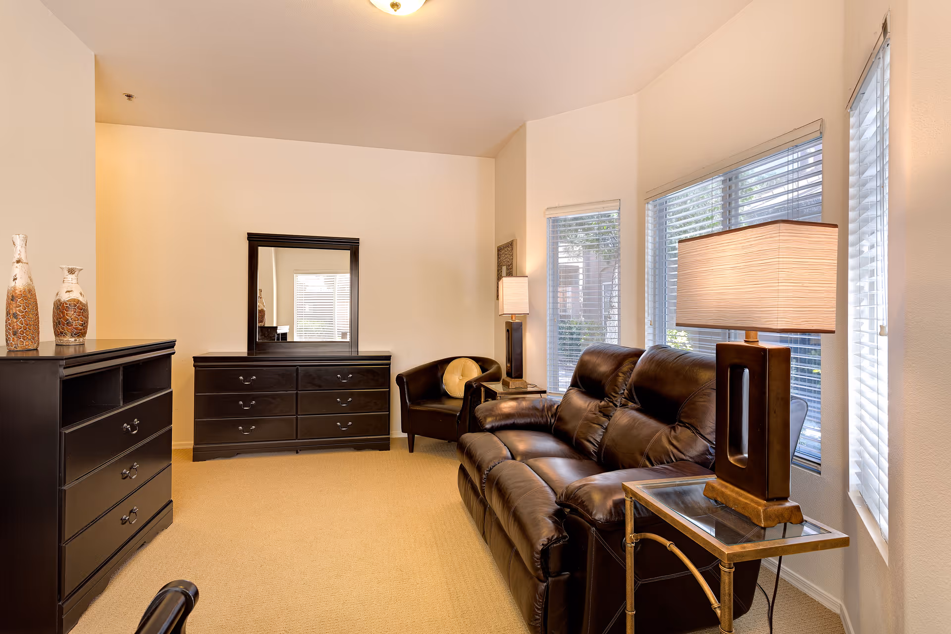 A cozy living room area with a dark brown leather sofa, a matching armchair with a round cushion, two side tables each with a modern lamp, and two dark wood dressers, one with a mirror. The room has beige carpet and white walls with large windows letting in natural light.