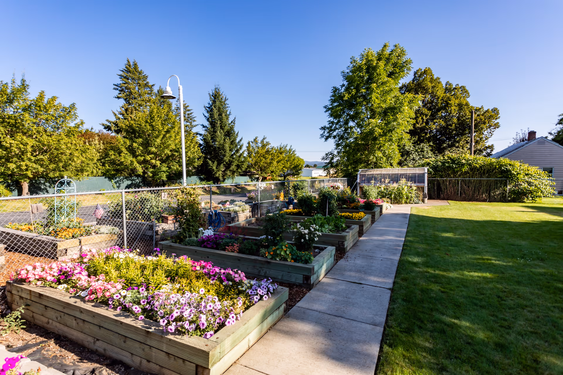 A sunny outdoor garden area with multiple raised wooden flower beds filled with colorful flowers and plants. There is a concrete pathway running alongside the flower beds, green grass on the right side, and trees in the background under a clear blue sky.