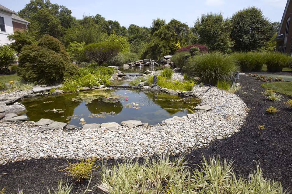 A landscaped outdoor garden area featuring a small pond surrounded by rocks and various green shrubs and plants, with trees and buildings visible in the background under a clear sky.