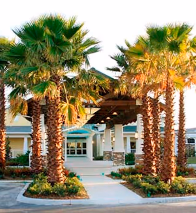 Entrance of a building with a covered walkway supported by white columns, surrounded by tall palm trees and landscaped greenery.