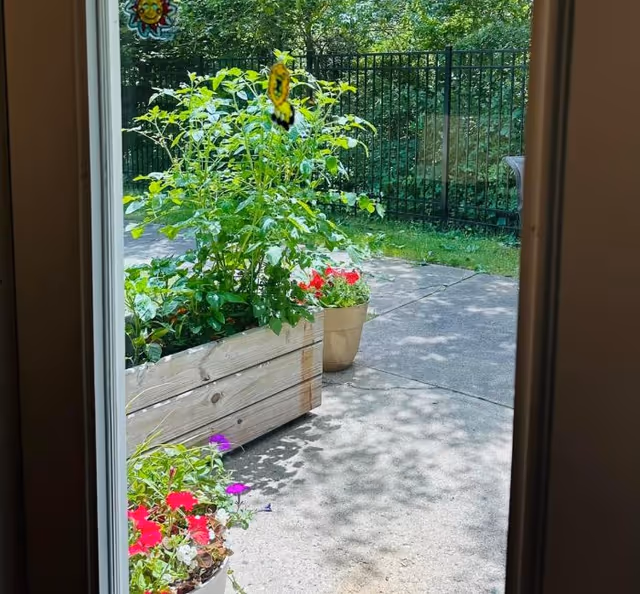 View through a doorway looking out onto a patio area with potted plants and a wooden planter box filled with green foliage and flowers. A black metal fence and trees are visible in the background.