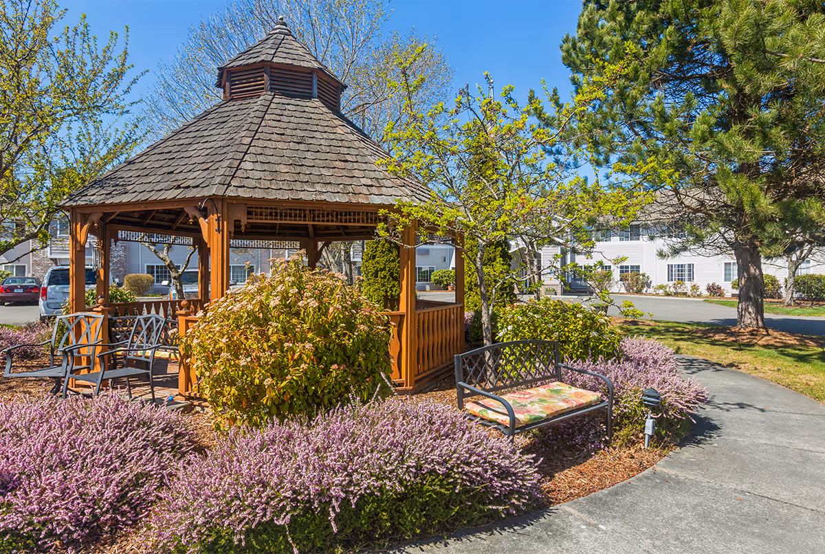 Outdoor garden area at Trustwell Living at Sinclair Place featuring a wooden gazebo with a shingled roof, surrounded by bushes and purple flowering plants. There are metal chairs and a bench with a floral cushion near a curved concrete pathway. Trees and a white building are visible in the background under a clear blue sky.