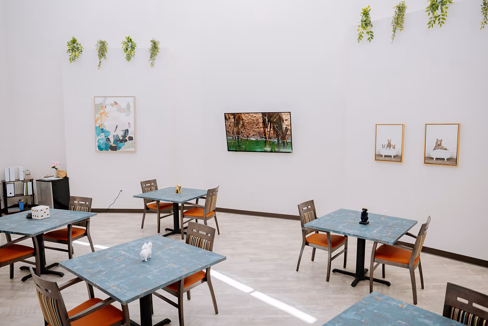 A bright and clean dining area with several square tables and wooden chairs with orange cushions. The walls are white and decorated with framed artwork and hanging green plants. A flat-screen TV is mounted on the wall showing an image of zebras drinking water.