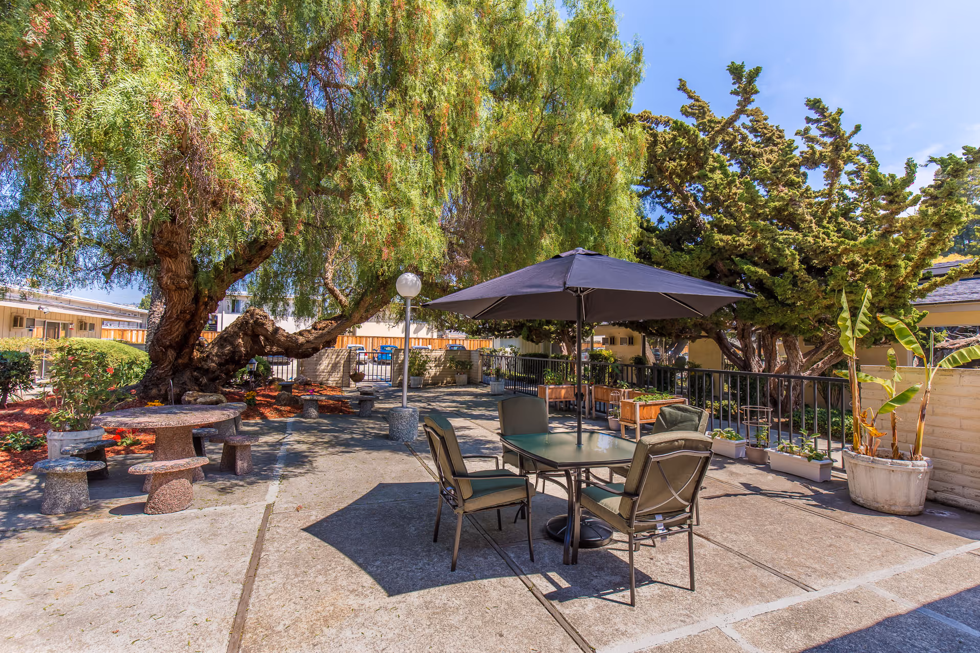 Outdoor patio area with a large tree providing shade, a table with four chairs and a large umbrella, stone picnic tables with benches, various plants in pots, and a clear blue sky.