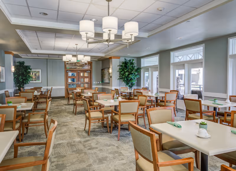 A spacious dining room with multiple square tables and wooden chairs with beige cushions. Each table is set with a white cup and a green napkin. The room has large windows letting in natural light, potted plants, and modern ceiling light fixtures.