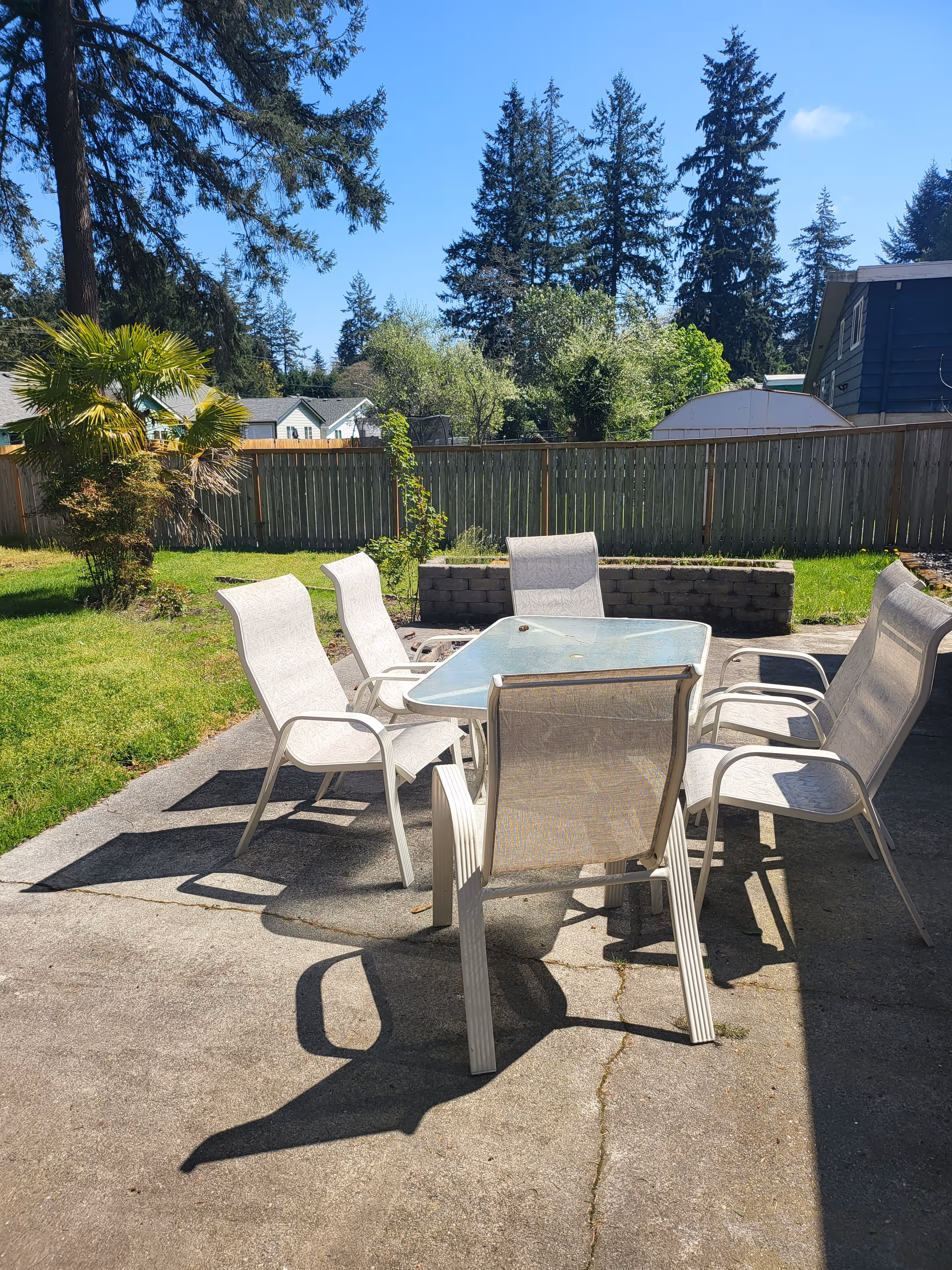 Backyard patio with a glass-top table and six white mesh chairs on a concrete slab, grassy yard, wooden fence and tall trees beyond.