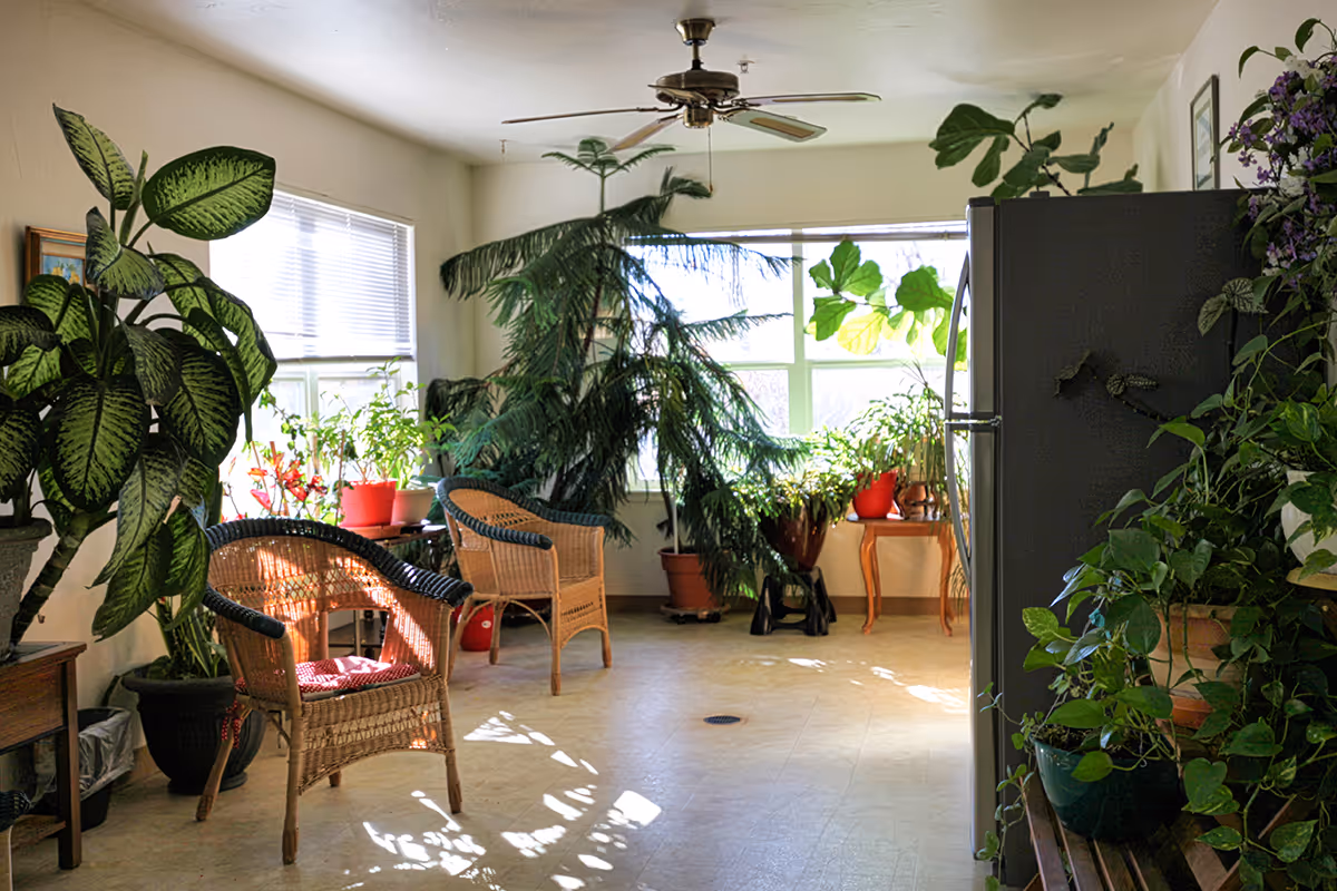 Sunlit living area filled with potted plants, wicker chairs, a ceiling fan, and a refrigerator by large windows.
