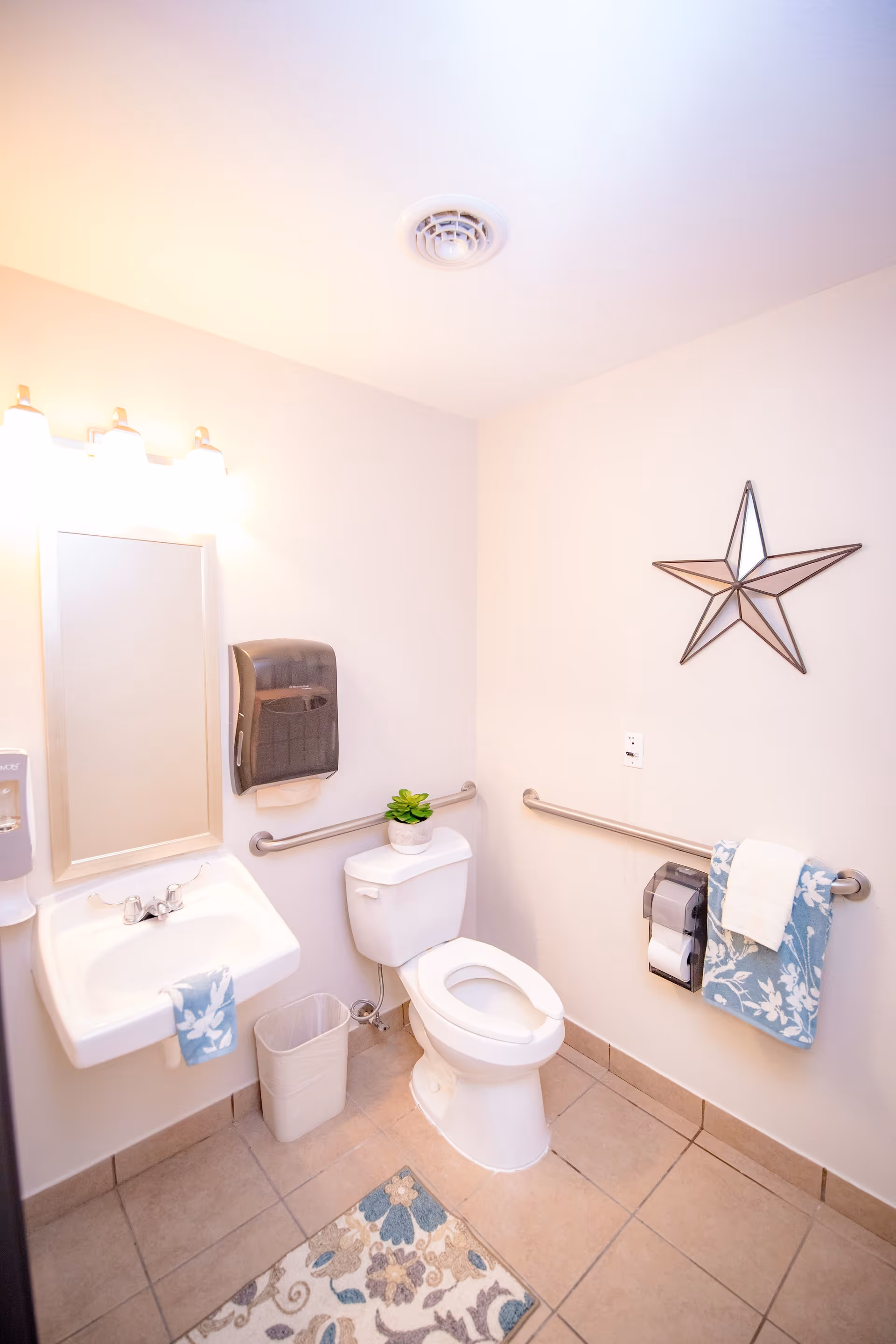 A clean and well-lit bathroom with a white toilet, a white sink with a blue floral hand towel, a wall-mounted mirror, a paper towel dispenser, and a small green plant on the toilet tank. There are grab bars on the walls for accessibility, a decorative star hanging on the wall, and a patterned floor mat in front of the sink and toilet.