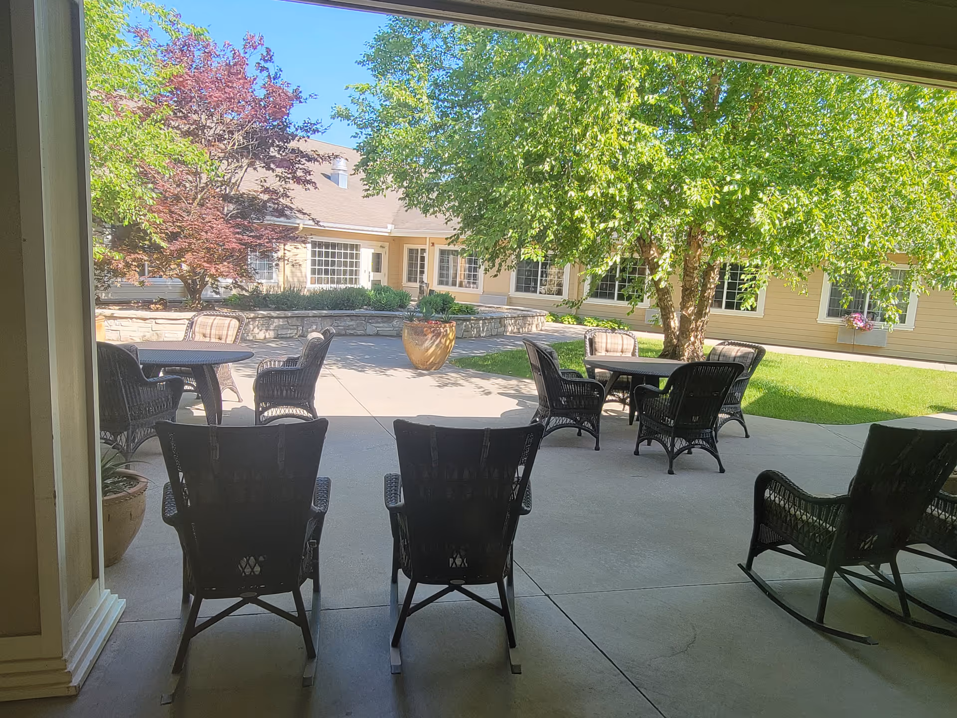 View from inside a building looking out onto a sunny outdoor patio area with several black wicker chairs and tables. There are green trees, a large planter, and a building with multiple windows in the background.