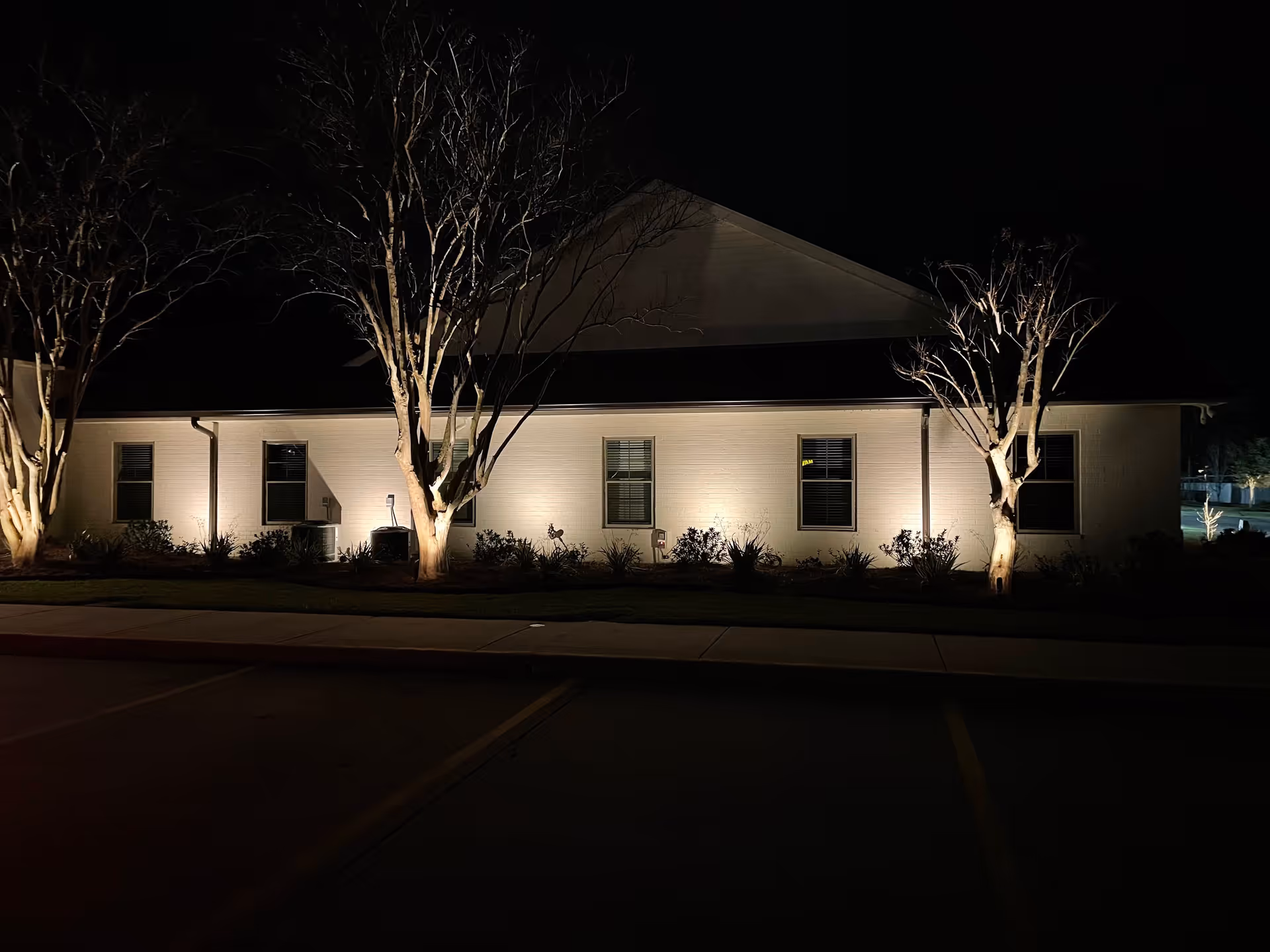 Night view of a single-story building exterior with white siding, illuminated by ground lights highlighting three leafless trees and shrubs in front. The building has several windows with blinds, and a dark roof. A sidewalk and parking area are visible in the foreground.