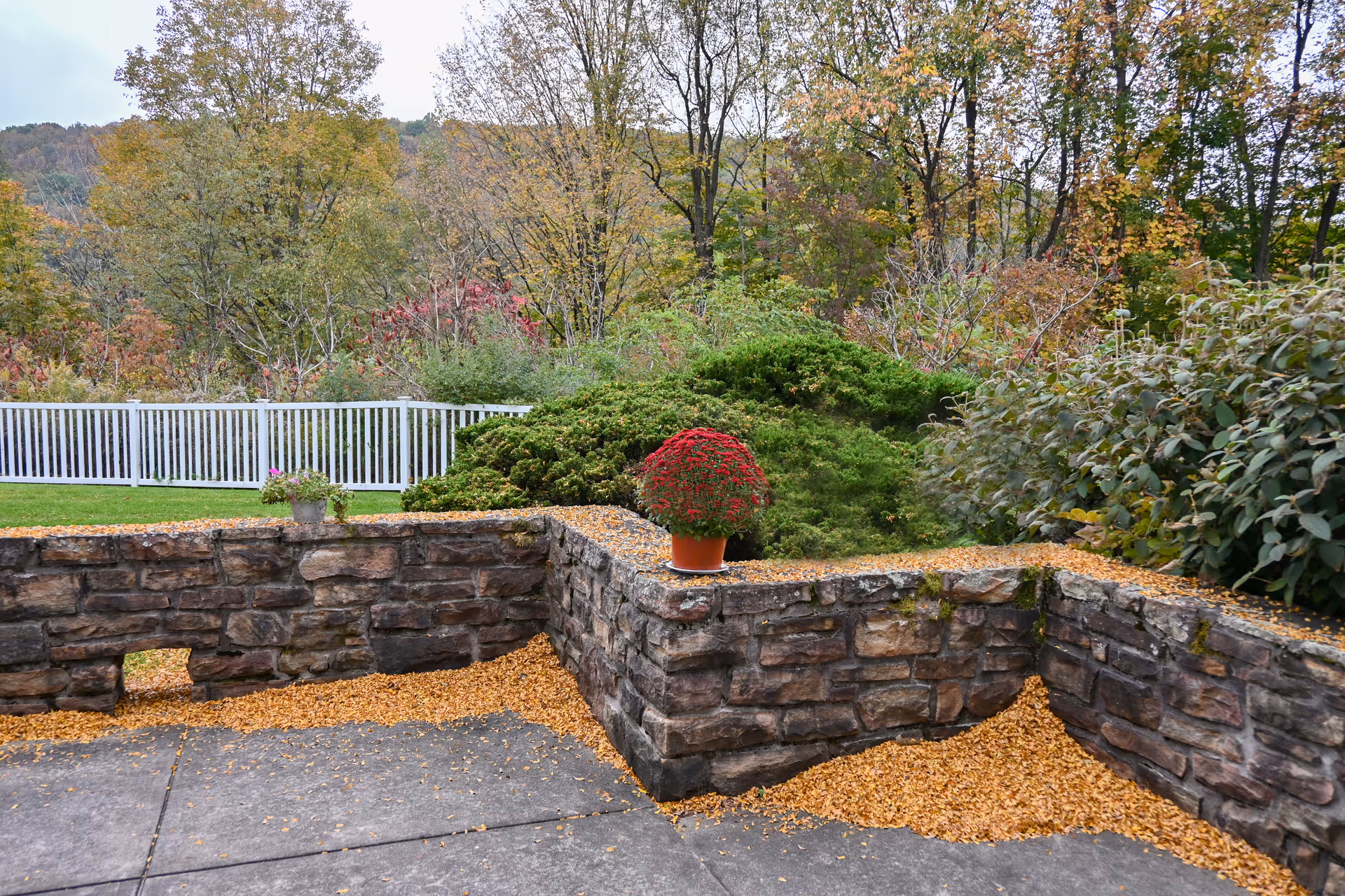 Outdoor garden area with a stone retaining wall covered in fallen leaves, a potted red flowering plant on the wall, green bushes, trees with autumn foliage, and a white fence in the background.
