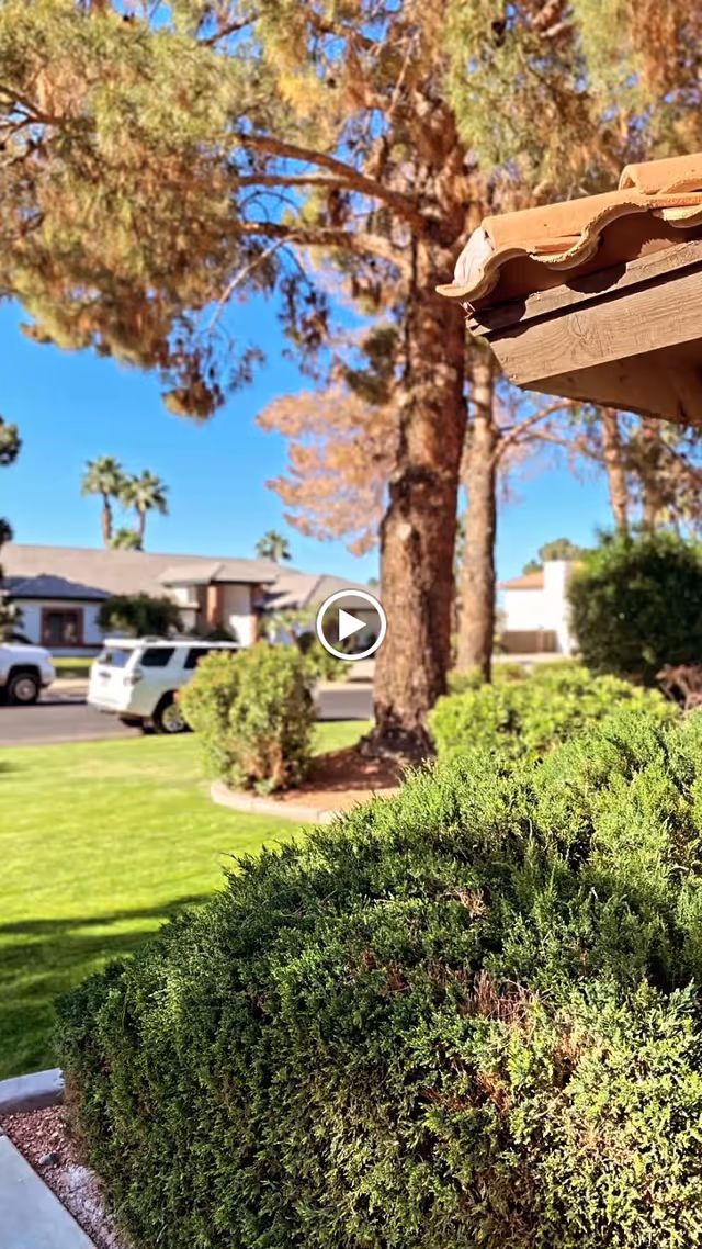 View of a residential neighborhood with green bushes and trees in the foreground, a tiled roof edge on the right, and houses with parked cars in the background under a clear blue sky.