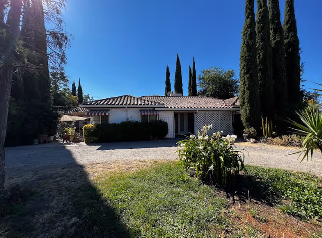 Single-story building with a tiled roof surrounded by tall cypress trees and greenery under a clear blue sky. There is a gravel driveway in front and a small garden with flowering plants in the foreground.