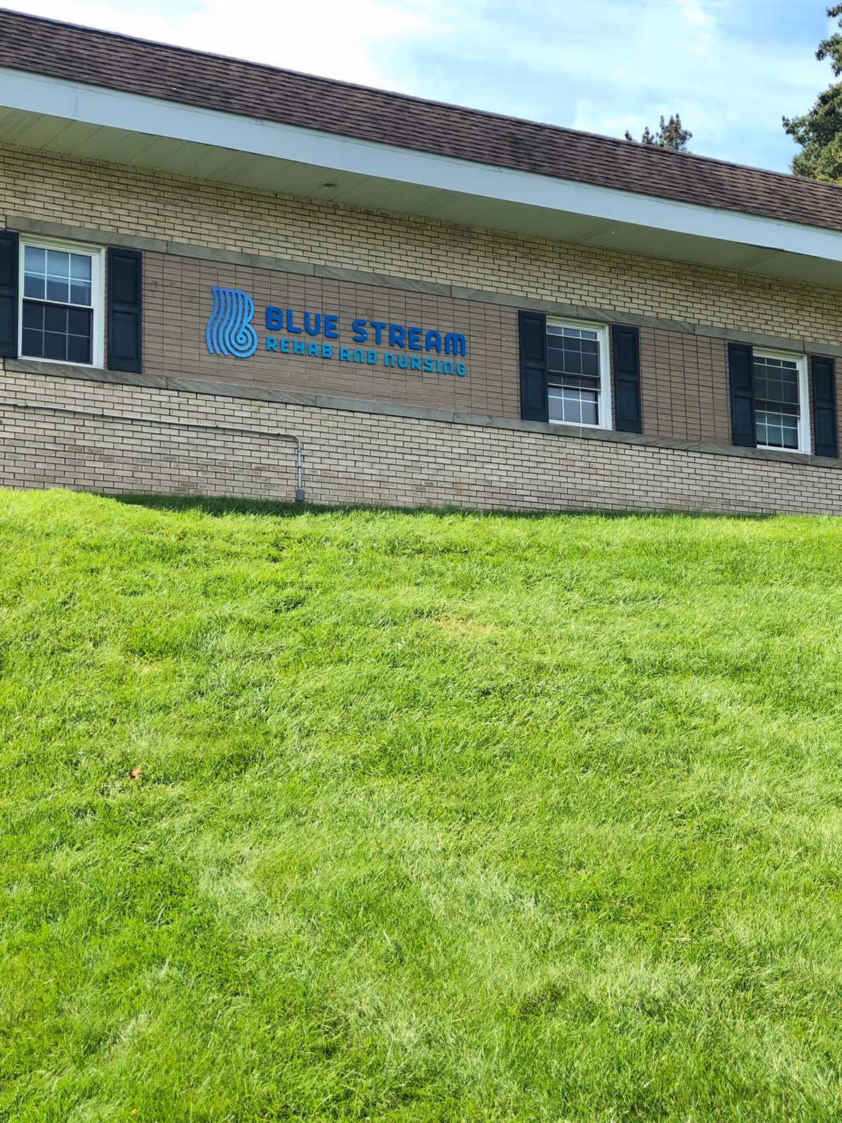 Exterior view of a brick building with a sign that reads 'Blue Stream Rehab and Nursing' mounted between two windows with black shutters. There is a green grassy hill in the foreground and a partly cloudy sky above.