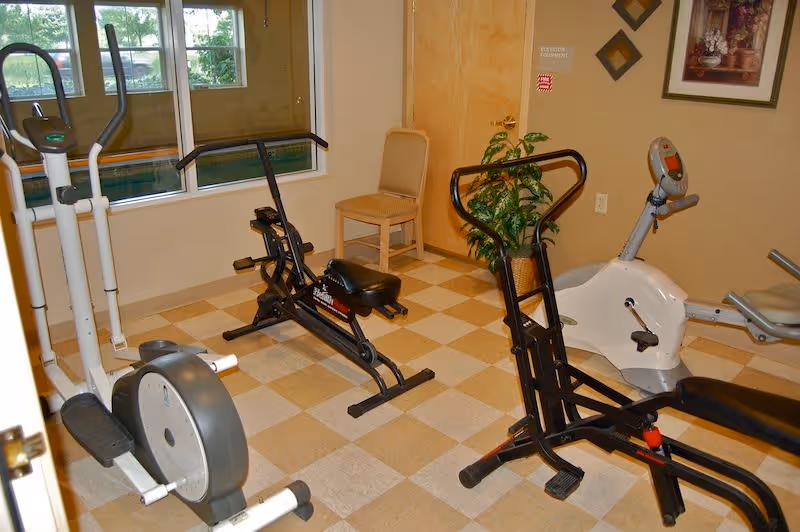 A small exercise room with various fitness equipment including a rowing machine, an elliptical trainer, and a stationary bike. There is a chair against the wall, a potted plant, a window showing greenery outside, and framed artwork on the wall.