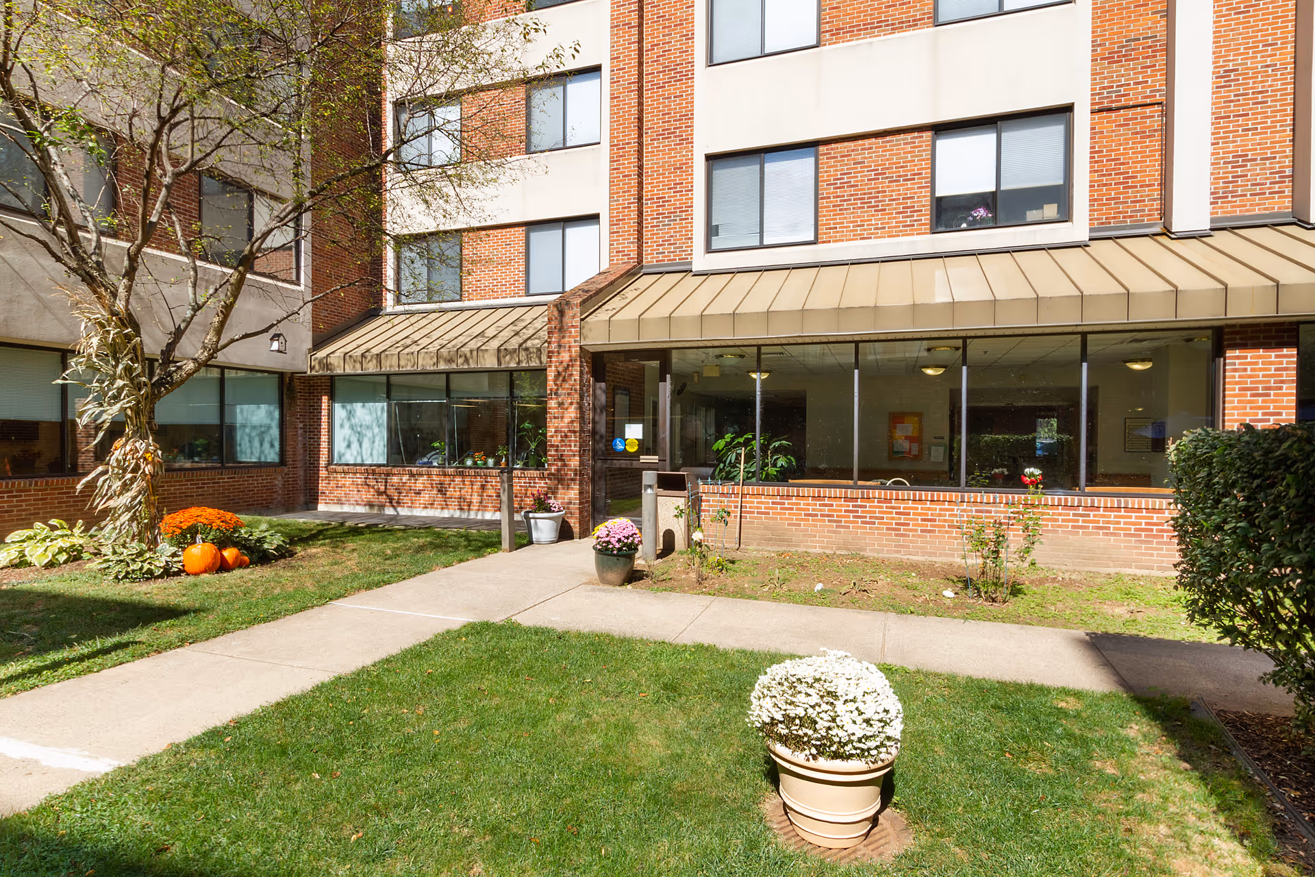 Entrance and courtyard of a brick senior living facility with a paved walkway, potted plants, pumpkins, and large windows.