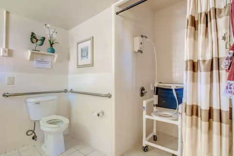 A clean and accessible bathroom featuring a white toilet with grab bars on the walls, a shower area with a white and beige striped curtain, and a shower chair with wheels. The walls are tiled halfway up, and there is a small shelf with a decorative butterfly and a potted plant above the toilet.