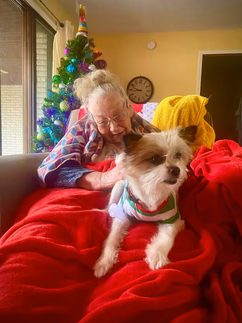 An elderly woman with glasses is sitting on a couch covered with a red blanket. She is smiling and looking at a small dog wearing a green and white striped outfit sitting on her lap. Behind her, there is a decorated Christmas tree with colorful ornaments and a clock on the wall.