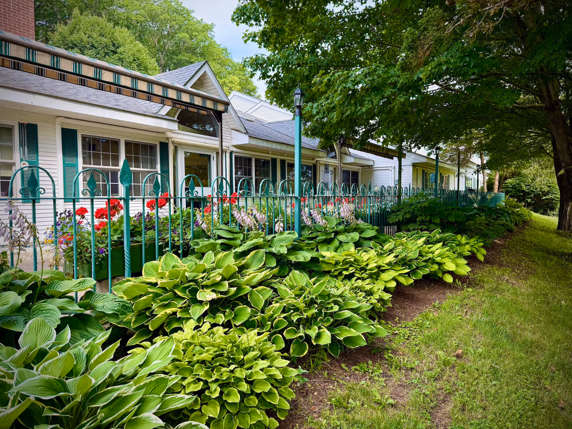 A row of white residential buildings with green shutters and a striped awning, bordered by a green metal fence. In front of the fence are lush green plants and colorful flowers. Large trees provide shade over the grassy area beside the buildings.