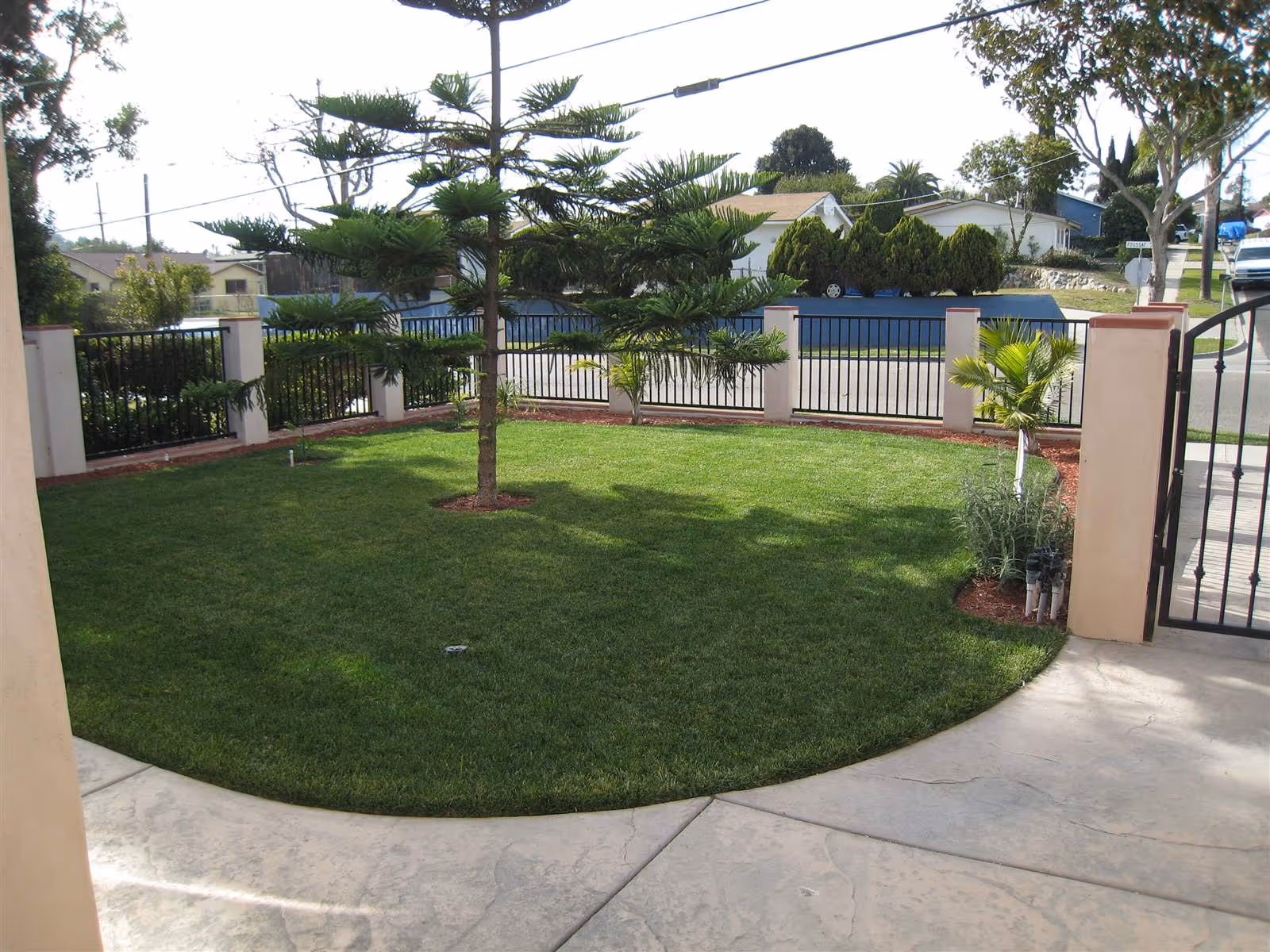 A small, well-maintained outdoor garden area with green grass, a few small trees, and a black metal fence surrounding the yard. There is a concrete pathway and an open gate leading to the street with houses and trees in the background.