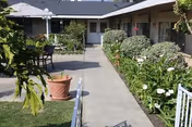 Sunny outdoor courtyard with a central concrete walkway flanked by potted plants, shrubs, chairs, and single-story rooms.