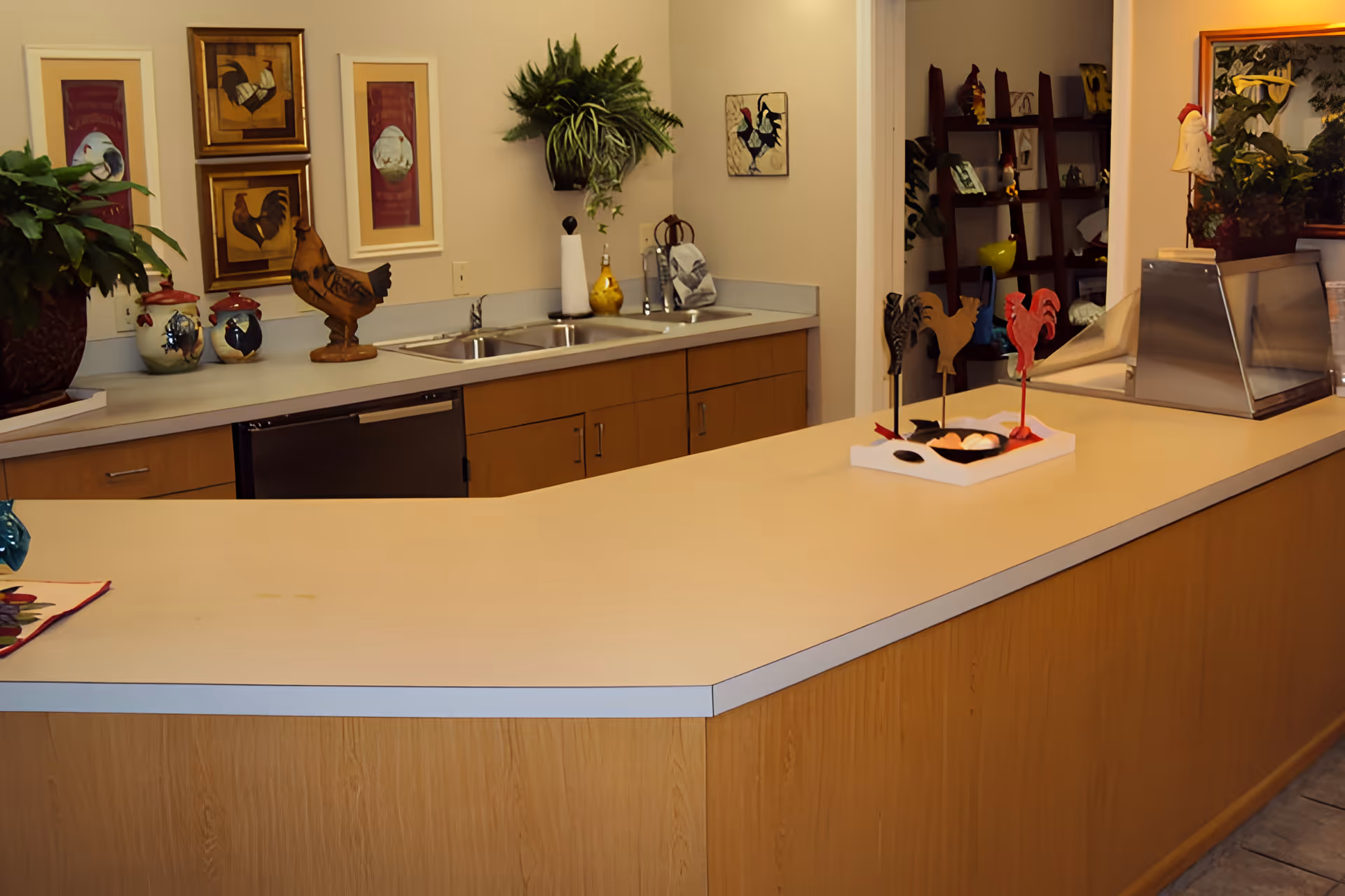 Interior view of a kitchen area in Orchard Crest Retirement Community featuring a long countertop with wooden cabinets underneath. On the counter are decorative rooster figurines and a tray with small items. The back wall has a double sink, potted plants, and framed rooster-themed artwork. In the background, there is a shelving unit with various decorative items.