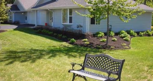 A landscaped lawn with a metal bench in front of a single-story residential building with shrubs and a young tree.