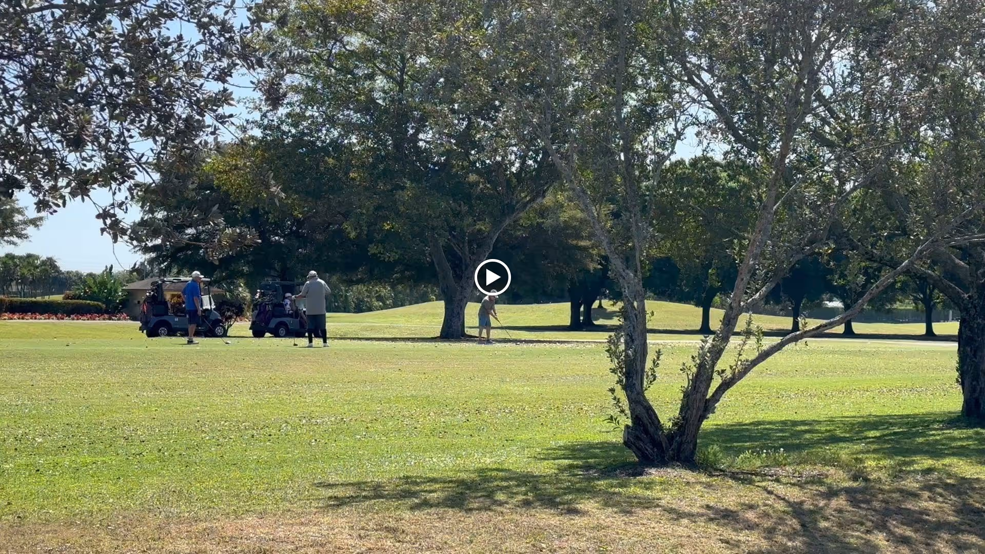 People playing golf on a sunny, tree-lined golf course with golf carts visible.