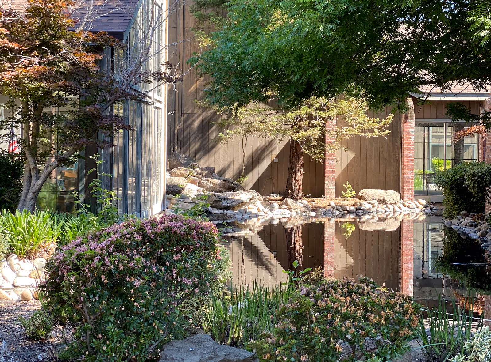 A serene outdoor garden area at The Crest at Citrus Heights featuring a calm reflective pond surrounded by various green plants, bushes with pink flowers, trees, and rocks. The background shows part of the building with large windows and brick accents.
