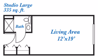 Floor plan of a studio apartment labeled Studio Large with 335 square feet, showing a living area measuring 12 by 19 feet, a bathroom with a toilet and shower, and closet space near the entrance.