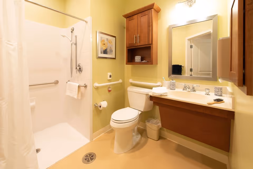 A clean and accessible bathroom with a walk-in shower featuring a handheld showerhead and grab bars, a toilet with grab bars on both sides, a wooden cabinet mounted on the wall, a countertop with a sink, a mirror above the sink, and a small trash bin on the floor. The walls are painted light yellow and there is a framed floral picture on the wall.