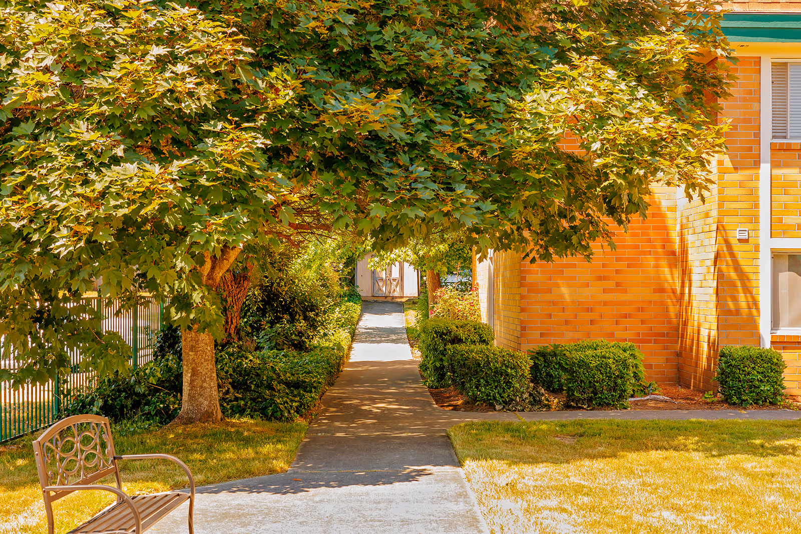 A shaded walkway lined with green bushes and a large leafy tree on the left side, leading to a door at the end. To the right, there is a brick building with windows and neatly trimmed shrubs. A metal bench is positioned on the grass near the walkway.