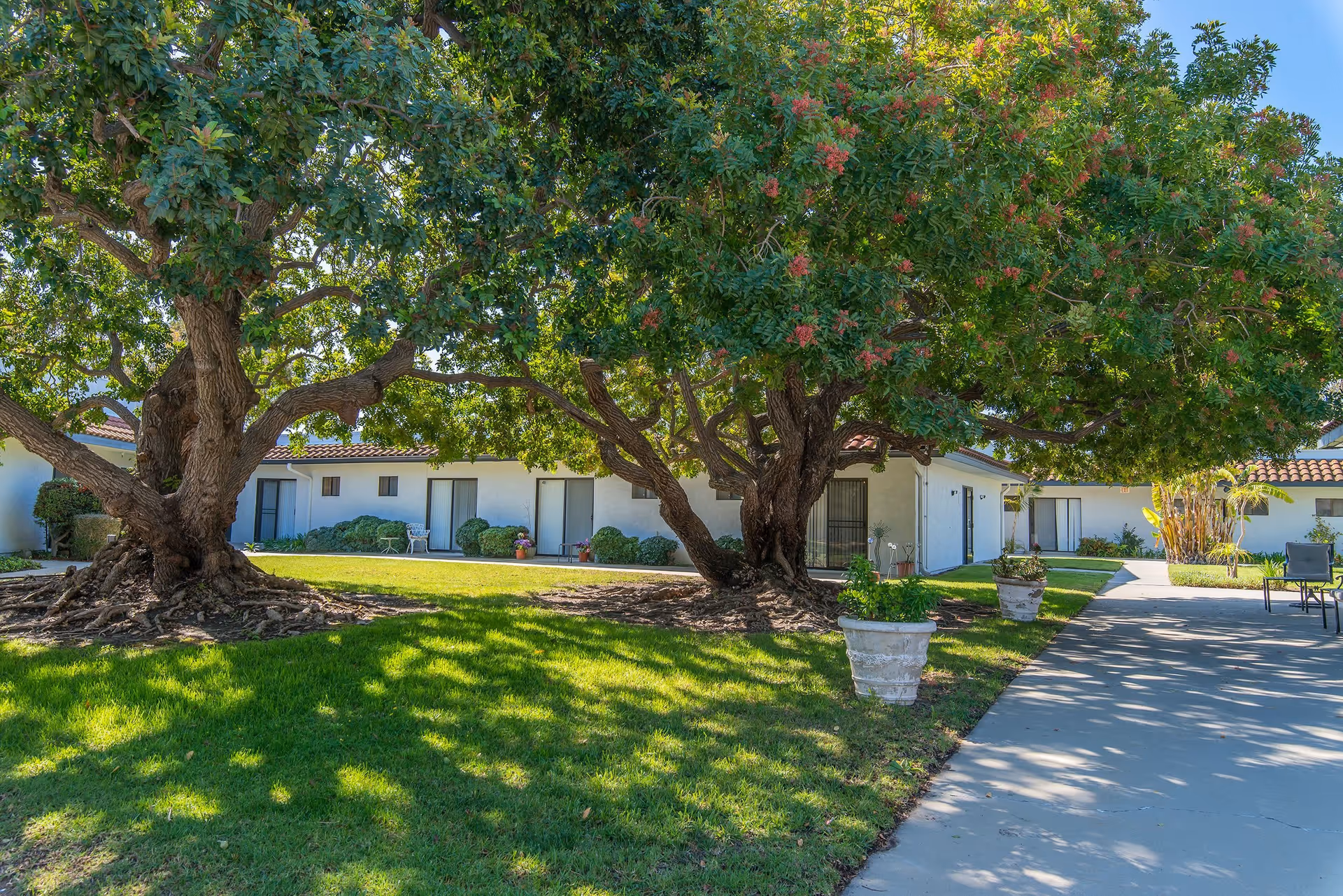 A shaded courtyard with large trees, green lawn, a paved walkway, and a single-story assisted living building with sliding patio doors.