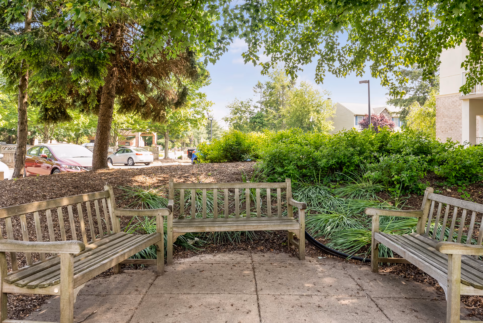 Three wooden benches arranged in a semi-circle on a paved area surrounded by green bushes and trees, with parked cars and residential buildings visible in the background under a clear sky.
