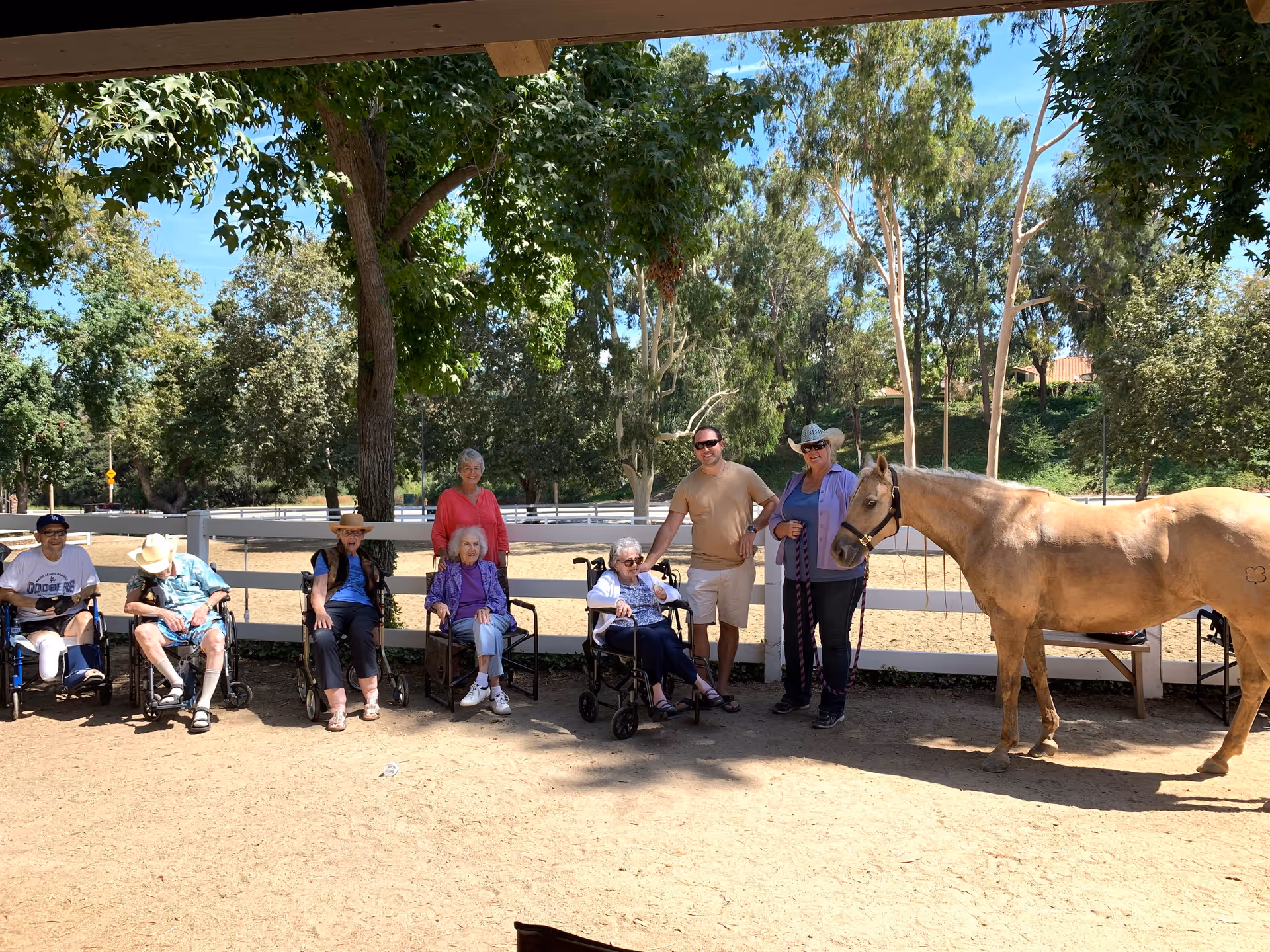 A group of elderly people, some in wheelchairs, sitting and standing under the shade of trees near a white fence in an outdoor area. Two adults stand with them, one holding the reins of a light brown horse. The setting is sunny with trees and greenery in the background.