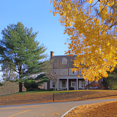 A large house with a porch surrounded by trees, including a green pine tree and a tree with bright yellow autumn leaves, under a clear blue sky.