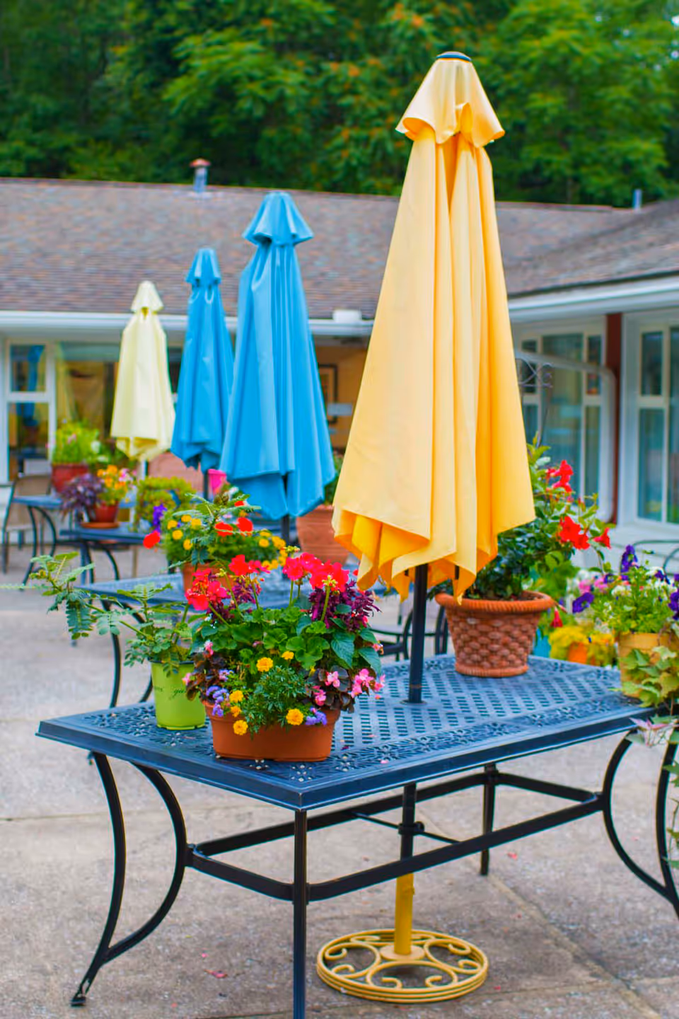 Outdoor patio area with several tables featuring closed yellow and blue umbrellas and colorful potted flowers, surrounded by a building with large windows and a roof, with trees in the background.