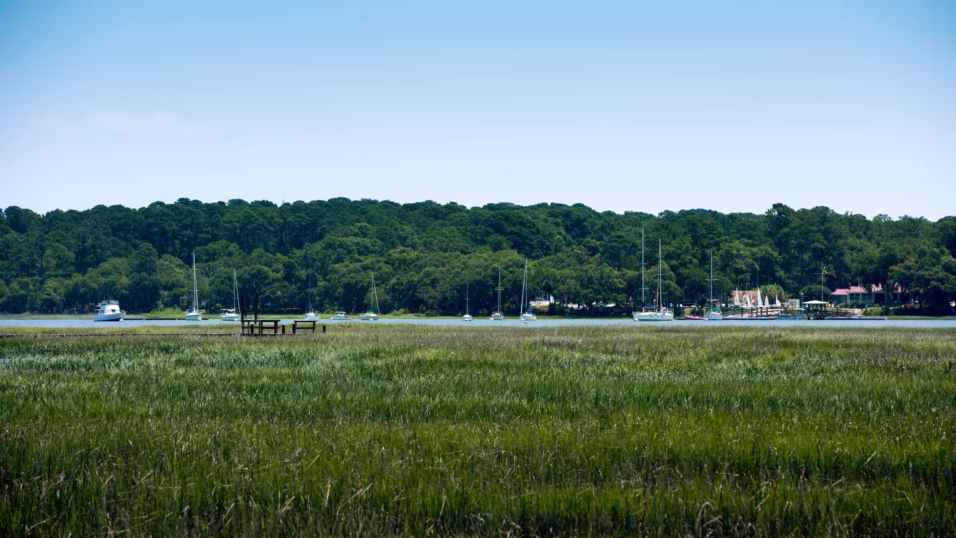 Marshy shoreline with tall grasses in the foreground, a river with anchored sailboats and a wooded tree line under a clear blue sky.