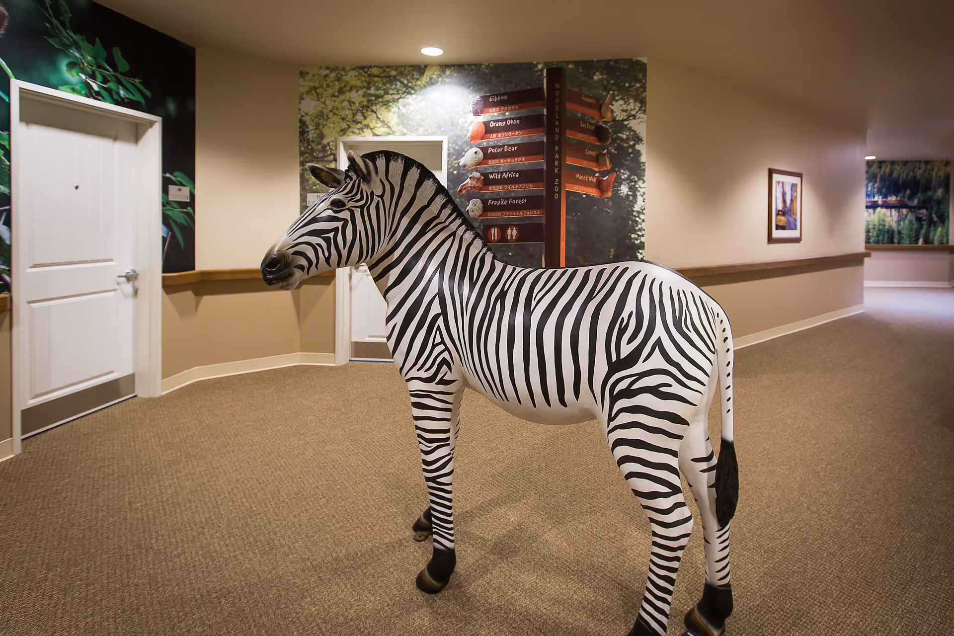 A life-sized zebra statue stands in a carpeted hallway of a senior living facility. The walls are decorated with nature-themed murals and framed pictures. There are white doors and directional signs on the walls, indicating different areas within the facility.