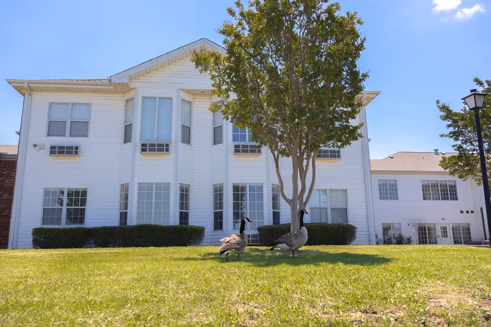 Exterior view of a white two-story assisted living facility building with multiple windows, a tree in front, and two geese standing on the green lawn under a clear blue sky.