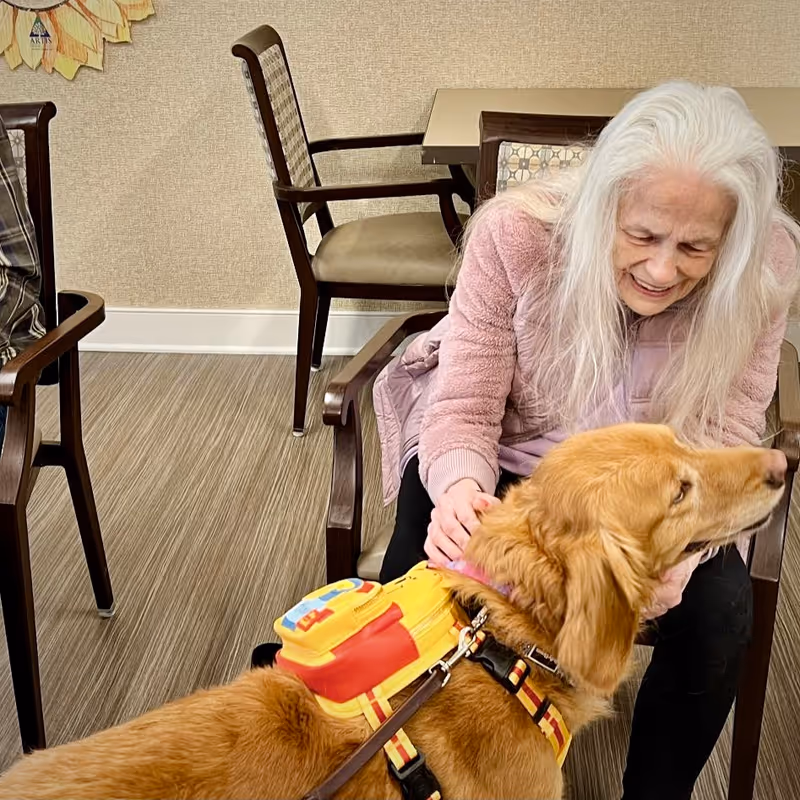 An elderly woman with long white hair wearing a pink jacket is sitting on a chair indoors, smiling and petting a golden retriever service dog wearing a yellow and red vest.