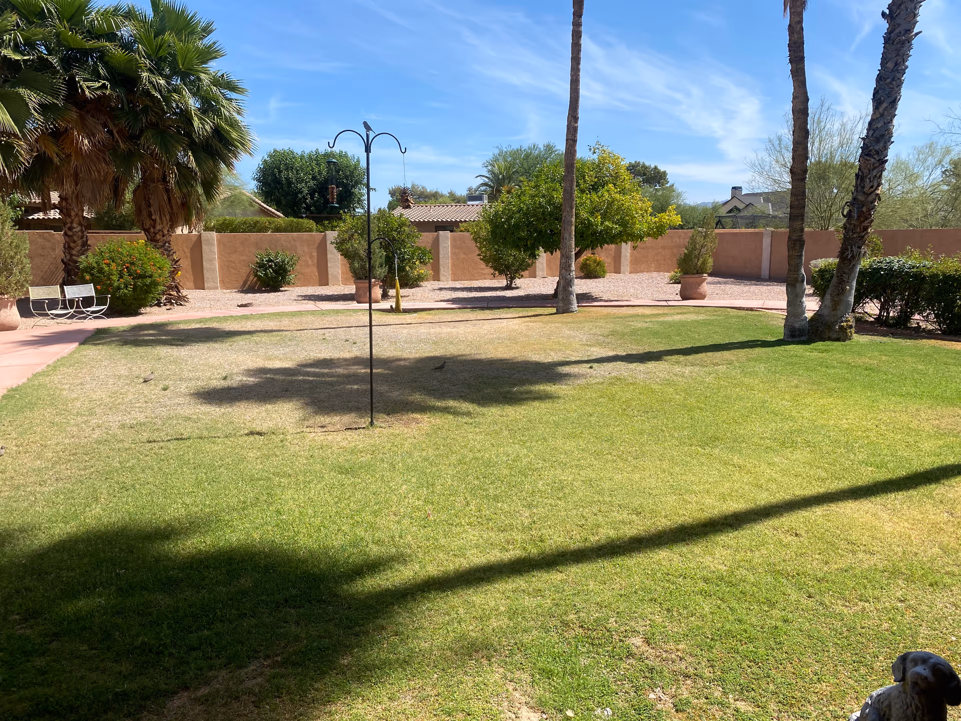 Sunlit grassy courtyard with palm trees, benches and potted plants enclosed by a stucco wall.