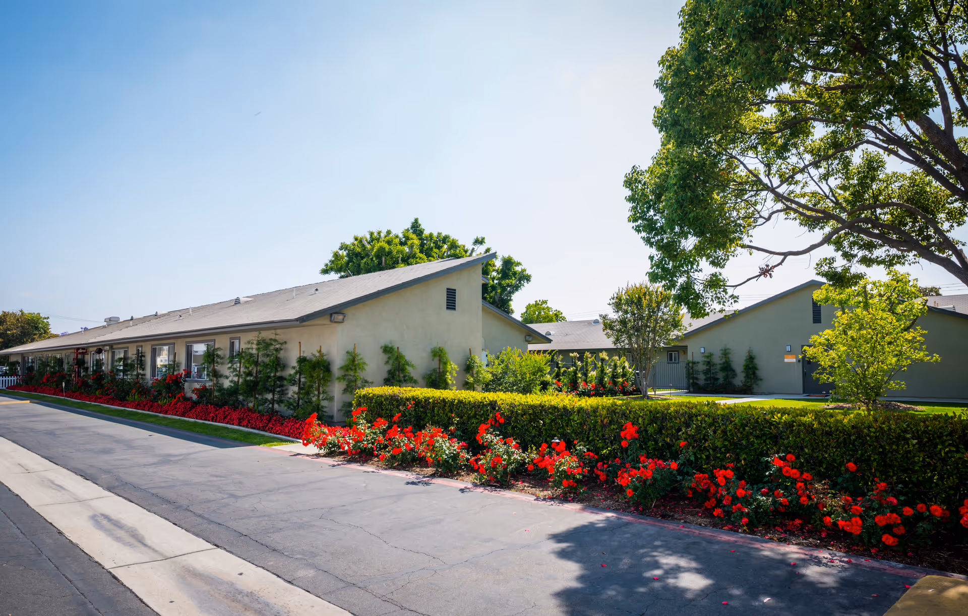 Exterior view of a single-story nursing center building with beige walls and a sloped roof, surrounded by well-maintained landscaping including green bushes, red flowers, and trees under a clear blue sky.
