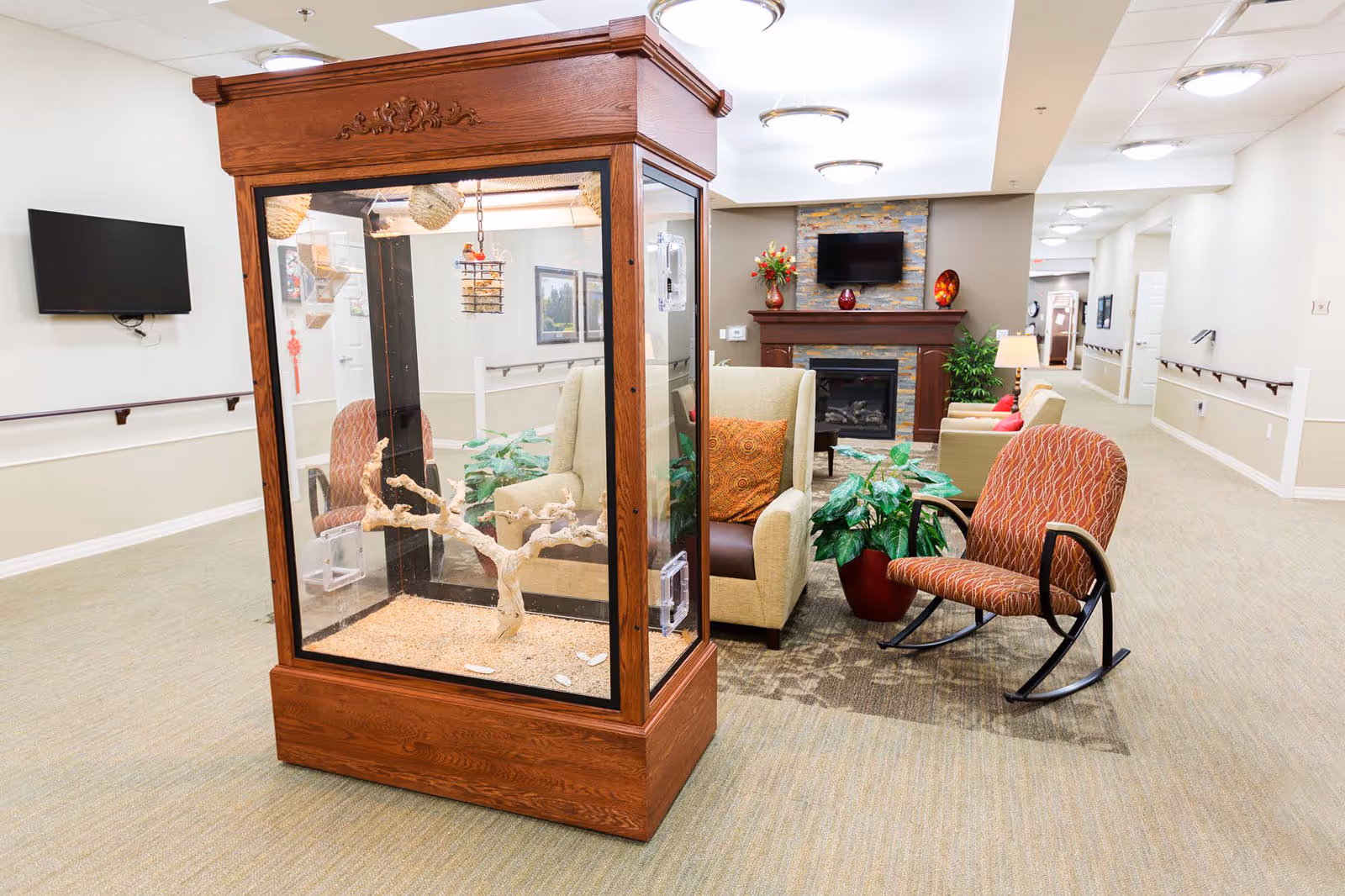 A cozy indoor common area with a wooden and glass enclosure housing a decorative branch. The space features comfortable seating including an armchair with a patterned cushion and a red rocking chair. There is a fireplace with a mounted TV above it, decorative vases, and plants. The area is well-lit with ceiling lights and has a carpeted floor.